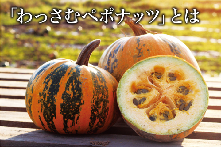 栄養価の高いペポかぼちゃの種